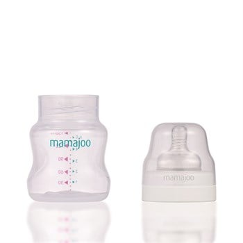 Mamajoo Biberon 150 Ml - Silver